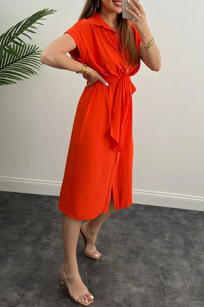 Elegant Solid Frenulum Shirt Collar Shirt Dress Dresses