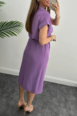 Elegant Solid Frenulum Shirt Collar Shirt Dress Dresses