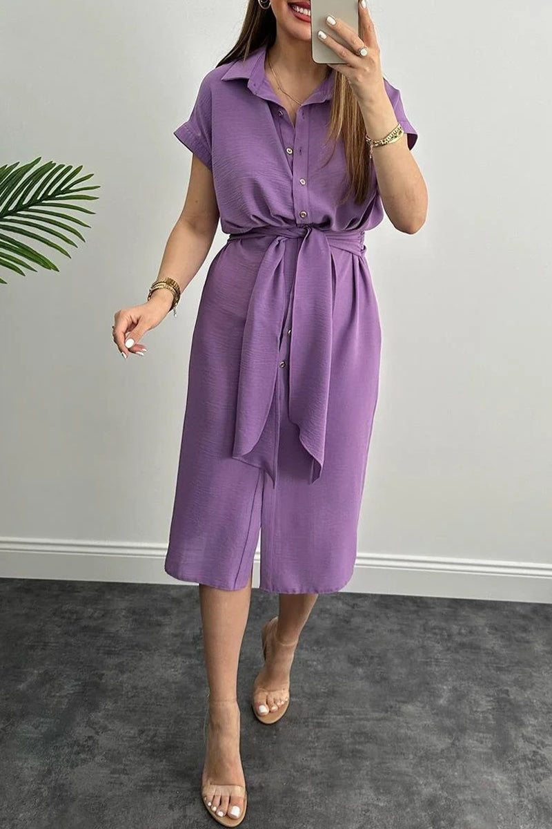 Elegant Solid Frenulum Shirt Collar Shirt Dress Dresses
