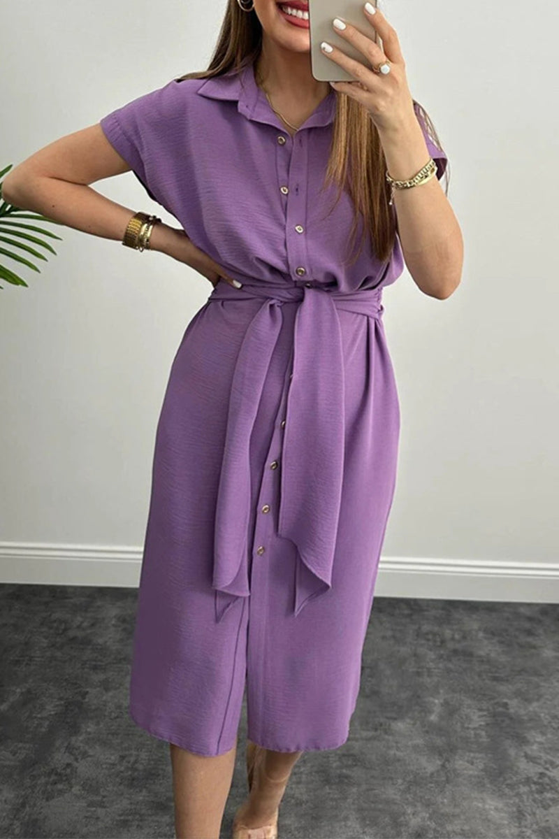 Elegant Solid Frenulum Shirt Collar Shirt Dress Dresses