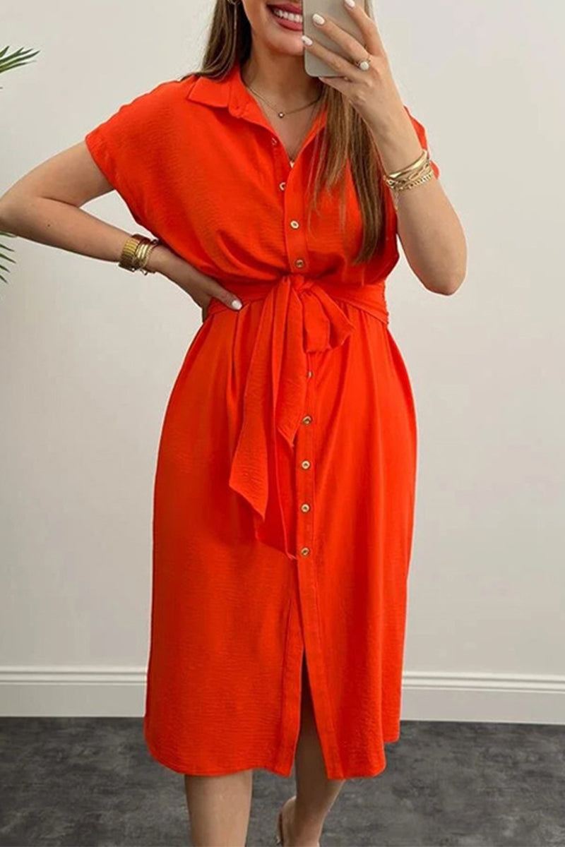 Elegant Solid Frenulum Shirt Collar Shirt Dress Dresses