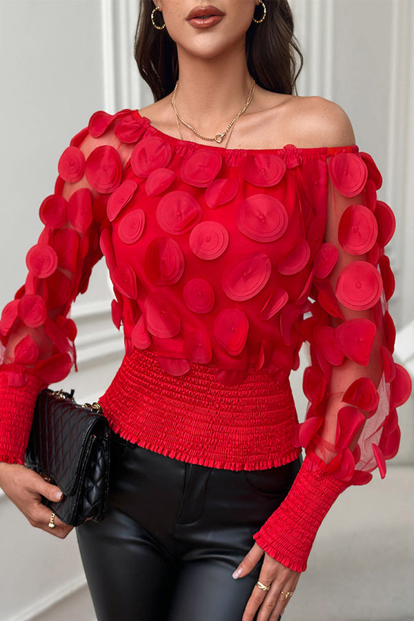 Celebrities Elegant Solid Appliques Mesh Off the Shoulder Tops