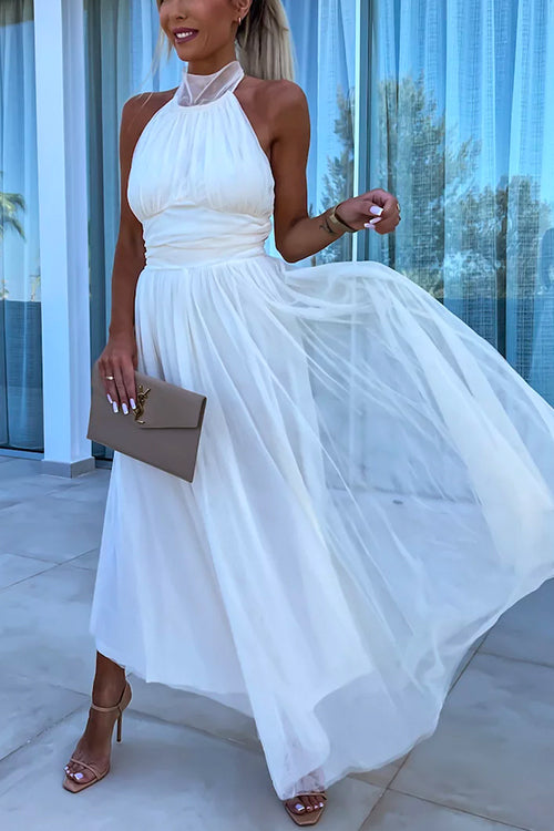 Amsoin Halter Backless Waisted Tulle Maxi Dress