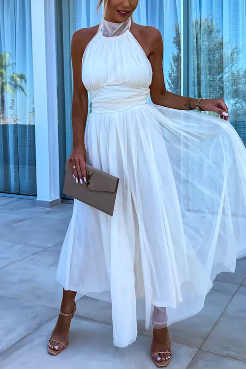 Amsoin Halter Backless Waisted Tulle Maxi Dress