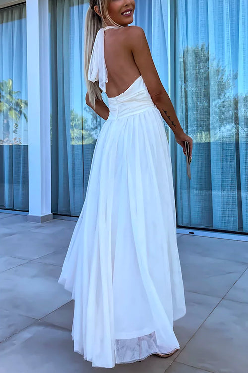 Amsoin Halter Backless Waisted Tulle Maxi Dress