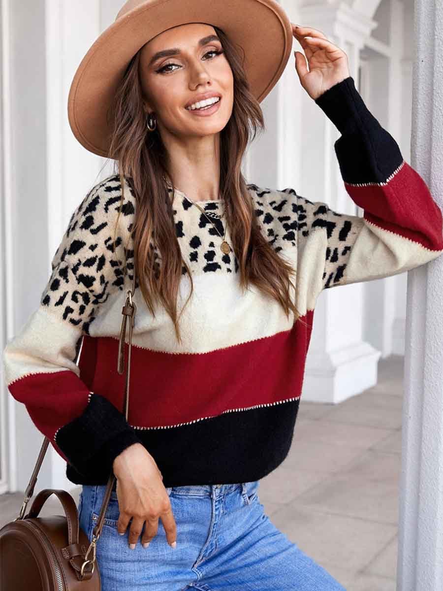 Amsoin Leopard Printed Striped Sweater