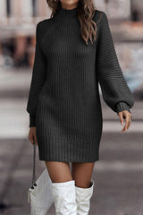 Amsoin Turtleneck Knit Dresses(7 Colors)