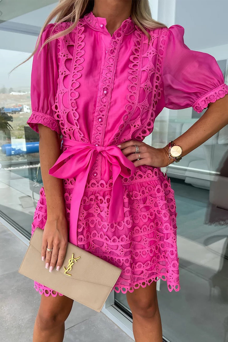 Amsoin Sweet Elegant Solid Hollowed Out Frenulum Mandarin Collar Princess Dresses