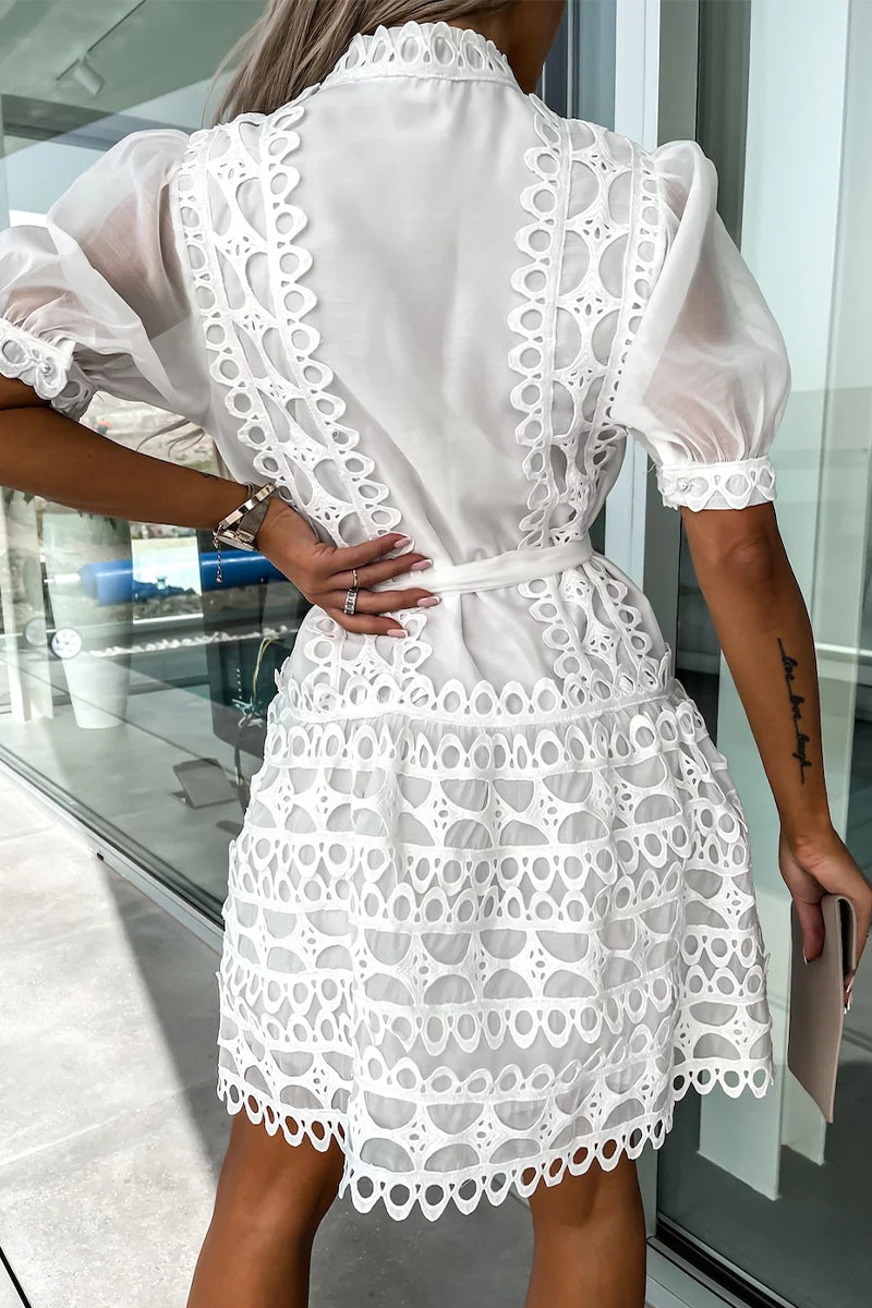 Amsoin Sweet Elegant Solid Hollowed Out Frenulum Mandarin Collar Princess Dresses