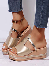 Amsoin Wedge Heel Sandals