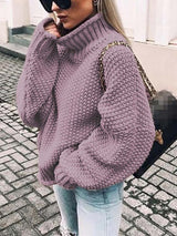 Amsoin Turtleneck Bat Sleeve Warm Sweater
