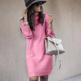 Amsoin High Neck Knitted Dress