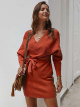Amsoin V Neck Sexy Mini Dress